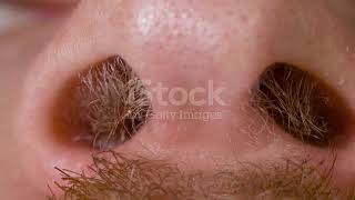 Hairy nostrils and nose of caucasian man close up in macro (2/6)