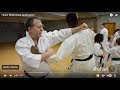 Heian Nidan Oyo Bunkai Kata Application