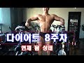 [시즌]다이어트 8주차 현재 몸 상태