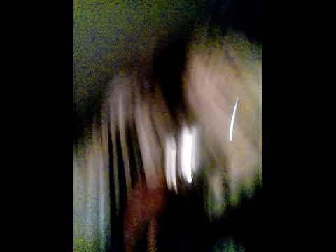 Vigilia di Natale! Chi eccitato 😱 | Hayley Utley