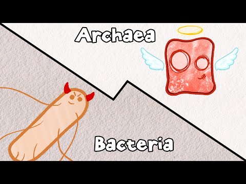 Archaea: Bacteria's Pacifist Cousins?