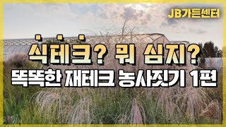 [1편] 작은하우스에서도 성공하는 고효율 식태크, JB가든센터가 심는 품종에는 이유가 있습니다 _ [JB가든…