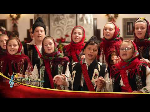 Grupul folcloric ”Bilcuta”   coord  Elena Negru 2