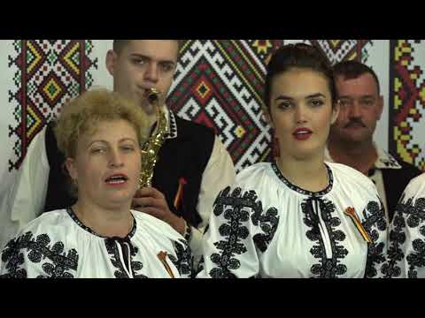ANSAMBLUL RITMURI ZARANDENE - FRUNZULITA MAGIRAN