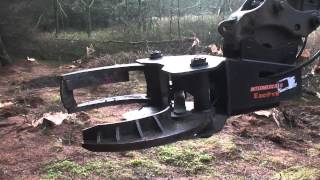 Excavator Shears - selective limb removal, especiall avocado and harvesting - video 3