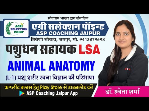 ASP Coaching Jaipur  Video 3