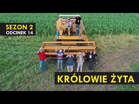 KRÓLOWIE ŻYTA Sezon 2 odc. 14 I Kabaret Malina