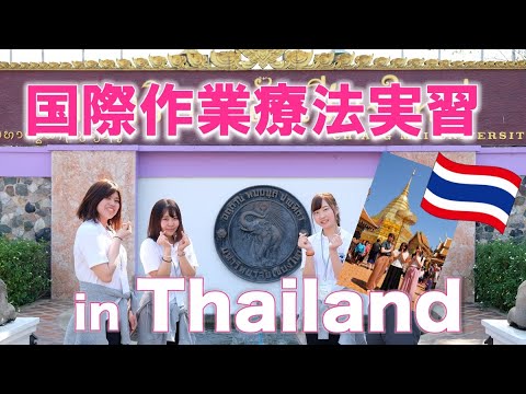 国際作業療法実習動画