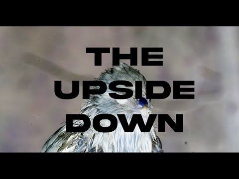 The Upside Down - Official Music Video
