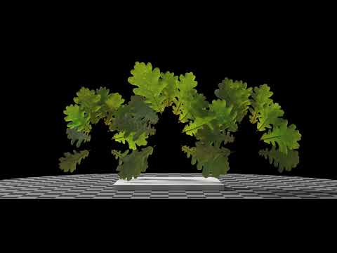 English Oak (Quercus Robur) leaves. SideFX Houdini, Karma XPU, MaterialX