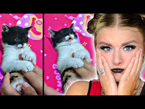 MOOD | Try Not to AWW | 59