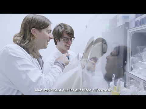 Athanasios Typas | Prix Liliane Bettencourt pour les sciences du vivant 2022