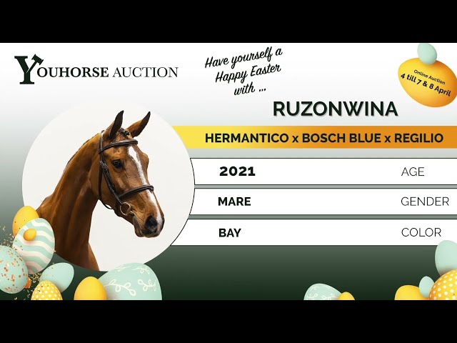 Ruzonwina showvideo indoor