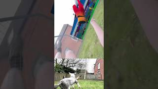 Il mio cane non ha capito cosa stavo facendo #cleansheetcalcio #calcio #vr