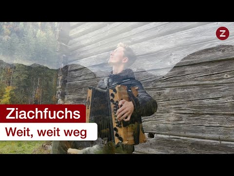 Weit, weit weg - Maria Kirchental - Steirische Harmonika 🥲💕