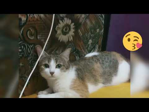 my Sweeta passed away 😢😢😢😘😘