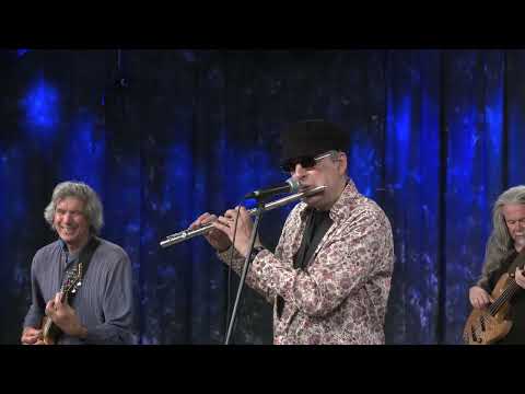 Soft Machine (2024) - Backwards / Noisette