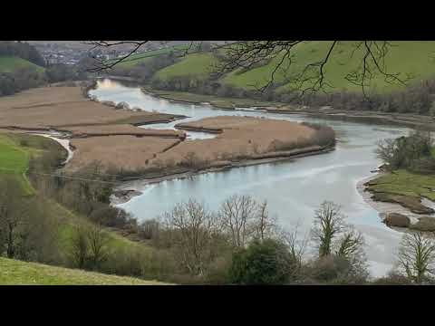 Sharpham Spring time by Jane Knight
