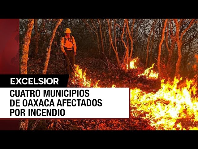 Youtube Imagen