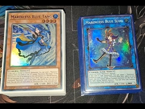 Marincess Deck Profile November 2025