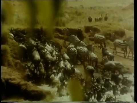 ÊTRE PHOTOGRAPHE par Emilio Pacull [FR] Extrait - La réserve animalière Masaï-Marra au Kenya