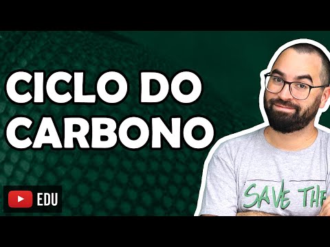 Carbon Cycle - Class 06 - Module VIII: Ecology | Prof. Gui
