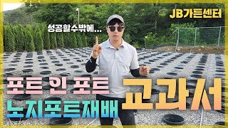 실패하지않는 농가는 다릅니다. 1등농가 포트인포트/노지화분재배의 교과서가 여기 있네요! [JB가든센터_대림묘…