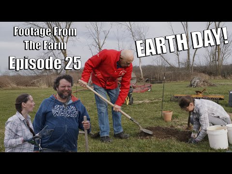 Footage From The Farm: Episode 25 - Dr. Pol Plants Trees That Can Grow TRUFFLES 🌳✨ #drpol #farmlife