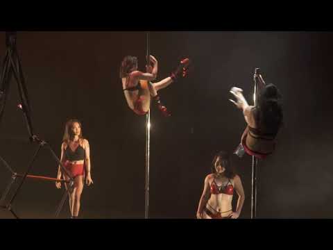 Viva Vertical Studio Recital 2019 (Highlights)