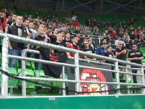 Magyar Kupa: FTC vs. DVTK 16/17 - Kubatov, hol van tábor?