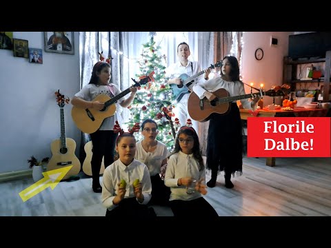 💥 Ia sculati voi gazde mari ❄️ Colind Chitara 💥 Florile Dalbe 🎁 Crixti and Friends