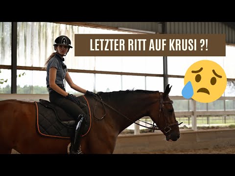 Erstes Mal ohne Sattel! Letzter Ritt auf Krusi ! :(  I LILGROPONYS