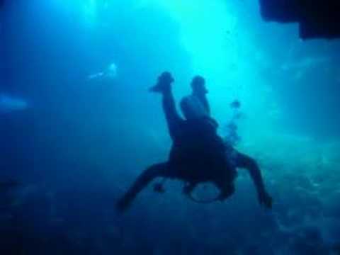 Hawaii Lanai Cathedral II