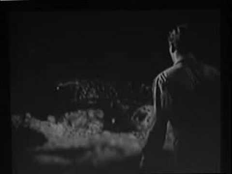 Birdfed Thru IVs Music Video by White Collar Sideshow