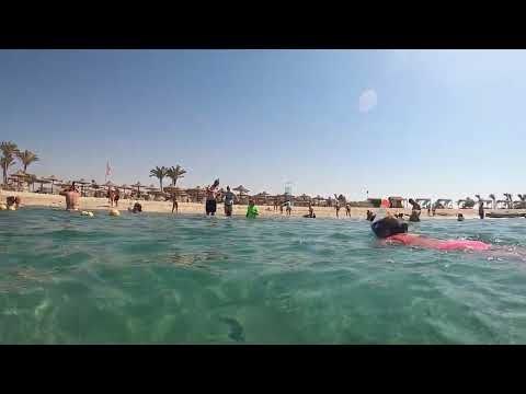 Malika resort abu dabbab