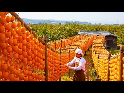 How $50 Japanese Dried Persimmons Are Made Using a 1,000 Year Process