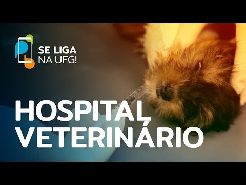 Se Liga na UFG! - Hospital Veterinário UFG