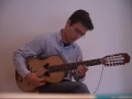 Raiz (Carlos Paredes)- Viola da Terra