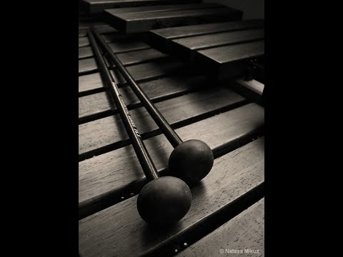 Ludsen Martinus: Concierto para marimba No. 1