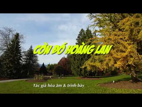 Còn đó hoàng lan Sheet - Phạm Chinh Đông