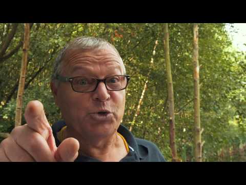 Broken a Bow? Failed as a Bowyer? Never Give Up