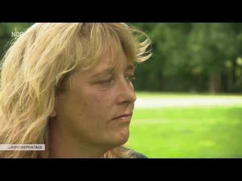 Polizeihunde im Einsatz Doku Polizei 2016 HD