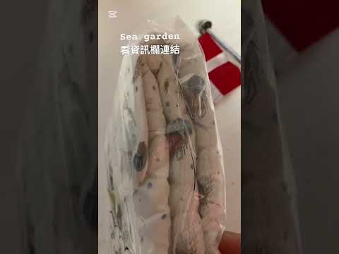 新品到貨實拍影片