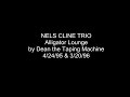NELS CLINE TRIO 4/24/95 & 3/20/96 Alligator Lounge Stereo Audio (only)