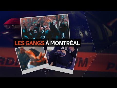 Armed violence: a portrait of street gangs