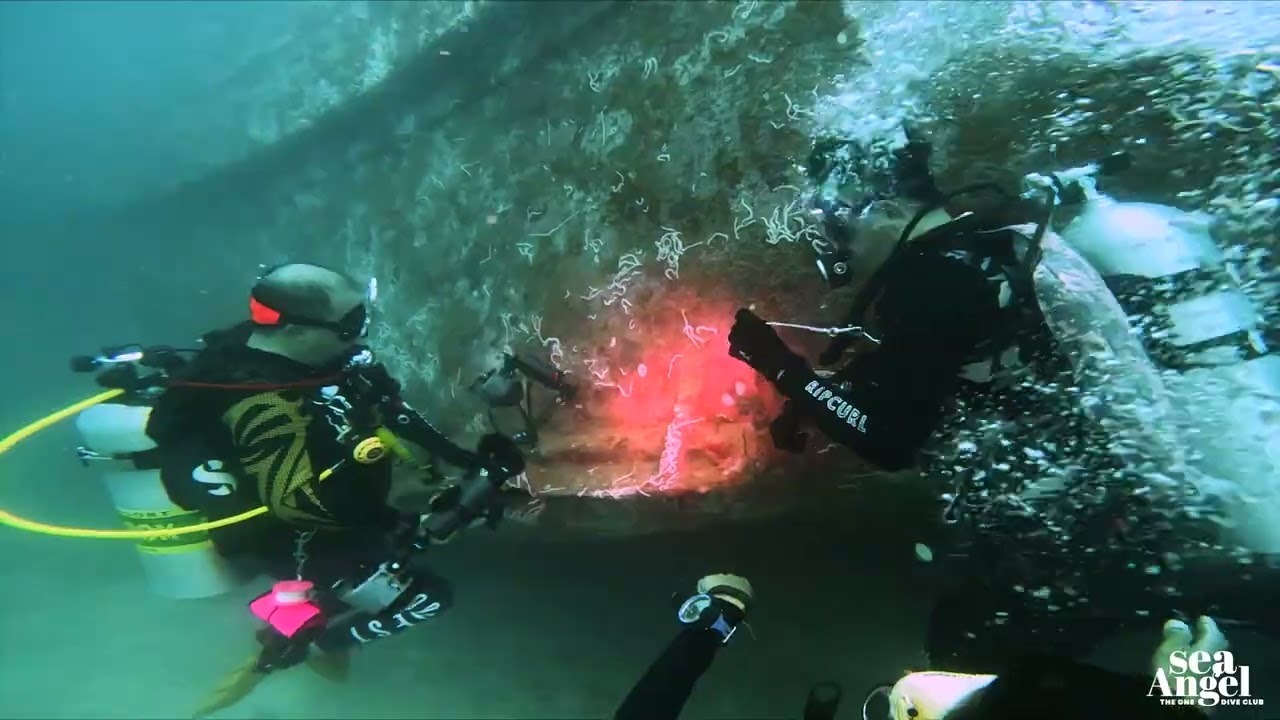 Wreck Diving - Explore the Underwater Relics! 🤿🌅