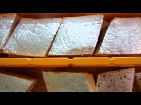 download lagu mp3 mp4 Silver Foil On Sweets Harmful, download lagu Silver Foil On Sweets Harmful gratis, unduh video klip Silver Foil On Sweets Harmful