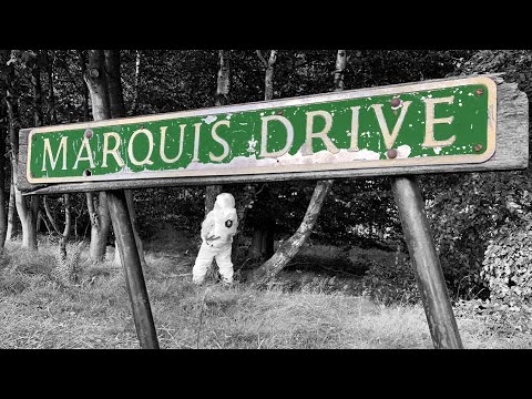 Marquis Drive - Spaceman