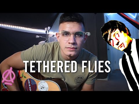 AliObviously - TETHERED FLIES (Parody of "Fireflies" by Owl City)