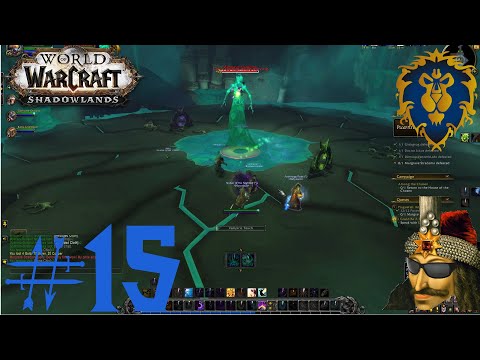 LP WOW Shadowlands Alliance Part 15 - Plaguefall et al